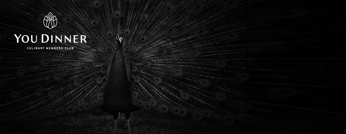 YouDinner – Exklusive Dinner-Events und Webdesign Case Study